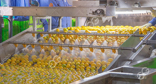 What Is Meant By Fruit Processing?