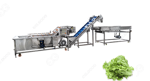 How Do You Clean Vegetables In A Factory With A Machine?