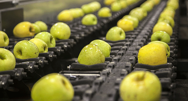 What Is Fruit Processing Unit?