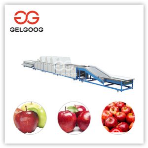 fruit-washing-and-waxing-line-price