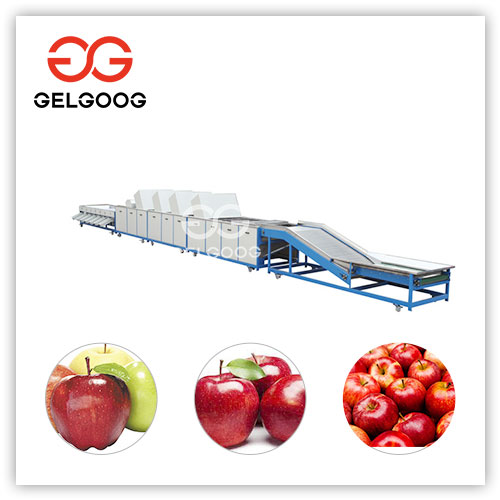 Apple Fruit Washing And Waxing Sorting Line Project