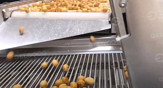 Is Potato Business Profitable?