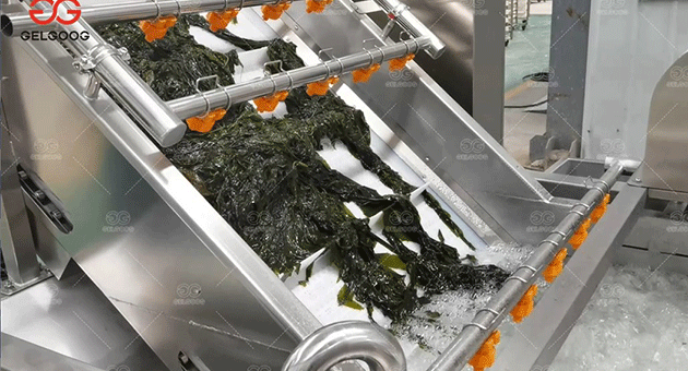 What Are The Methods Of Processing Seaweed In Factory?