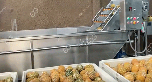 What Is The Method Of Processing Pineapple?