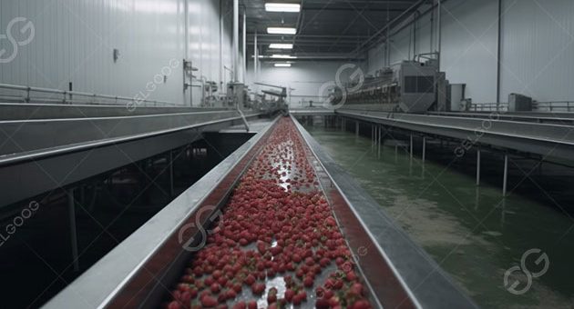 What Are The Processing Operations Of Fruits And Vegetables?