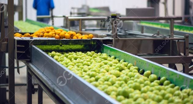 How Do You Properly Wash Fruit In A Factory?