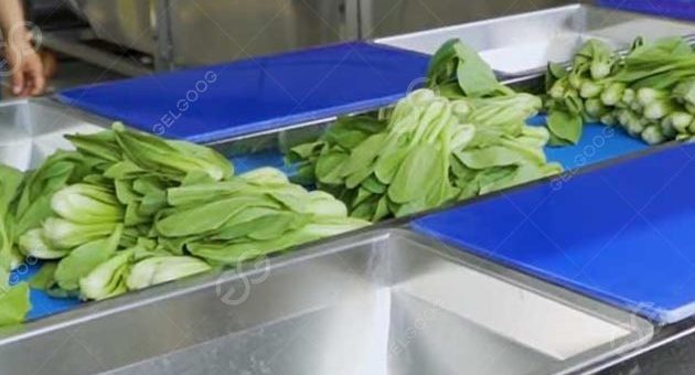 What Are The 4 Methods Of Preparing Fresh Vegetables In Factory?