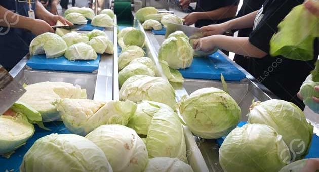 How Is Bagged Lettuce Processed In Factory?
