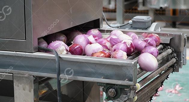 Is There A Machine To Peel Onions In Factory