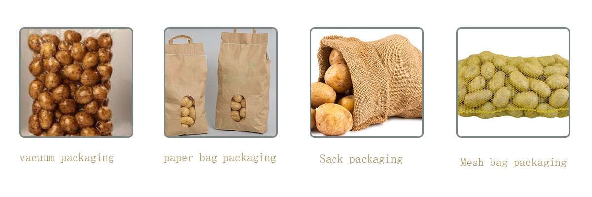 potato-packing