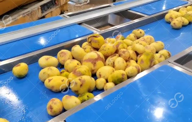 How Are Potatoes Processed In Factory