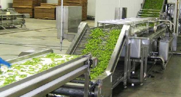 What Are The Modern Processing Methods Of Vegetables?