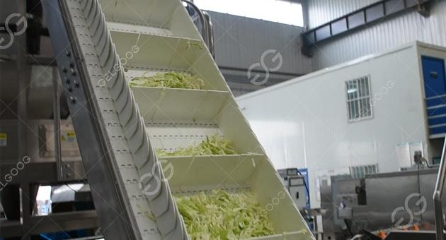 What Is The Reason For Vegetable Processing?