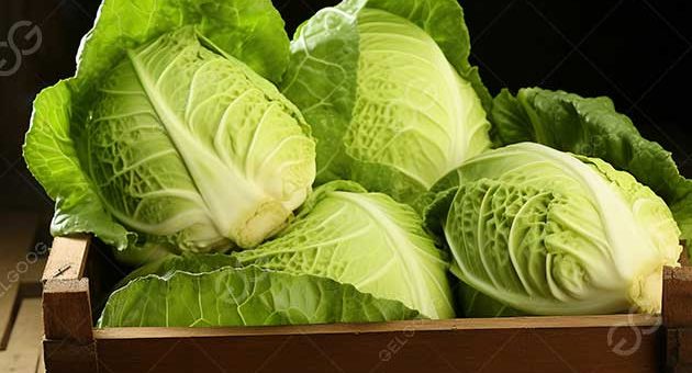 How To Wash Cabbage In A Factory