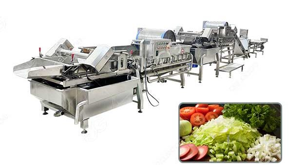 Vegetable Processing Line Process Flow