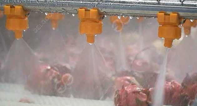 How Do I Clean A Dragon Fruit In Factory