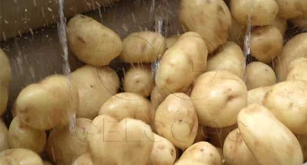 What Machine Cleans Potatoes