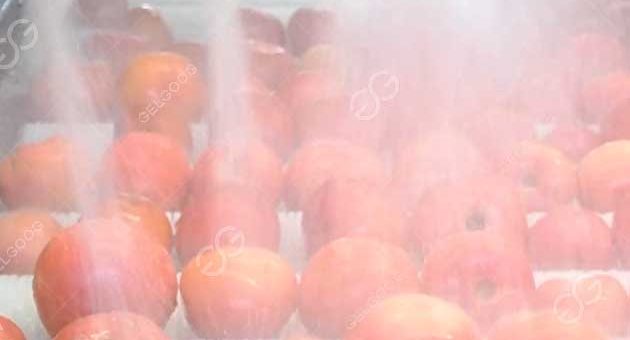 What Is The Best Way To Wash Fresh Tomatoes In Factory