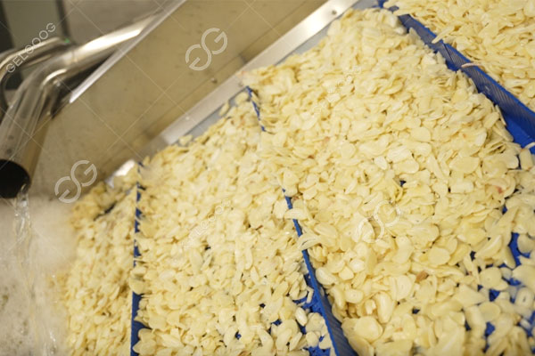Garlic-Slicer-Machine