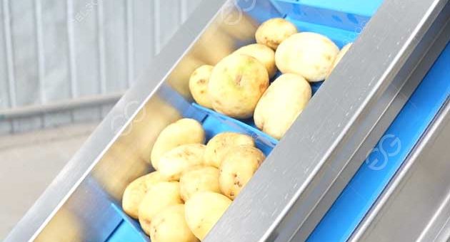 How Are Potatoes Commercially Produced?
