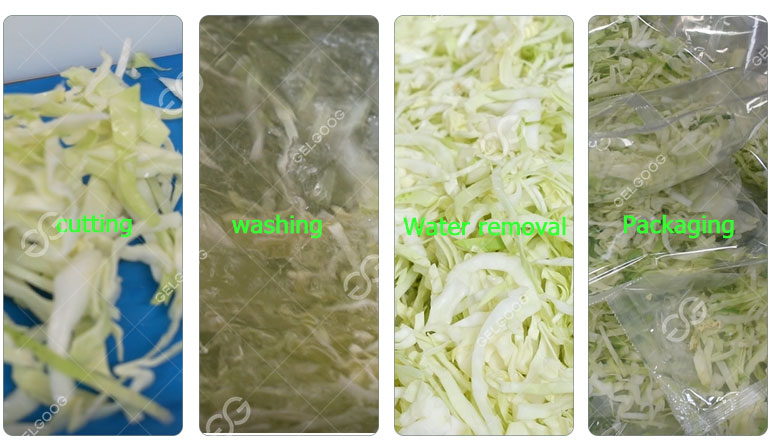Iceberg-lettuce-washing-cutting-and-drying-line