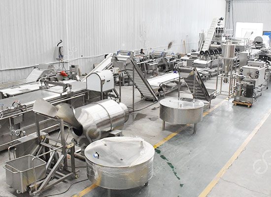 Saudi Arabia Fruit And Vegetable Processing Machinery Selection Guide