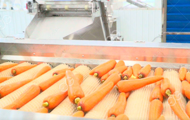 Carrot-Washing-Line-for-sale