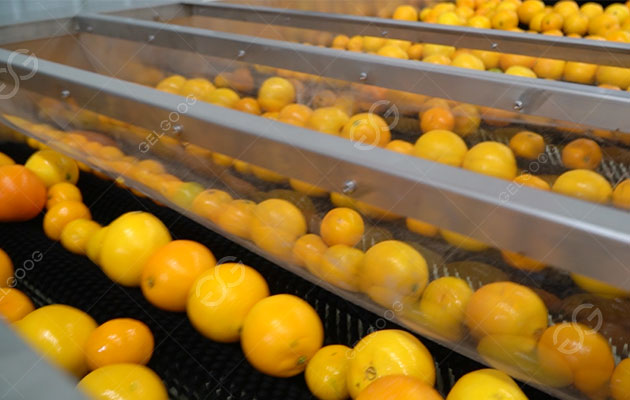 Mandarin-washing-line