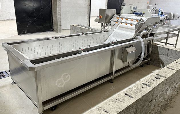 amaranth-leaves-washer-machine