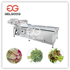 amaranth-leaves-washing-machine