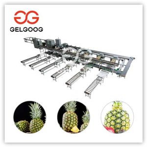 Pineapple-packing-line