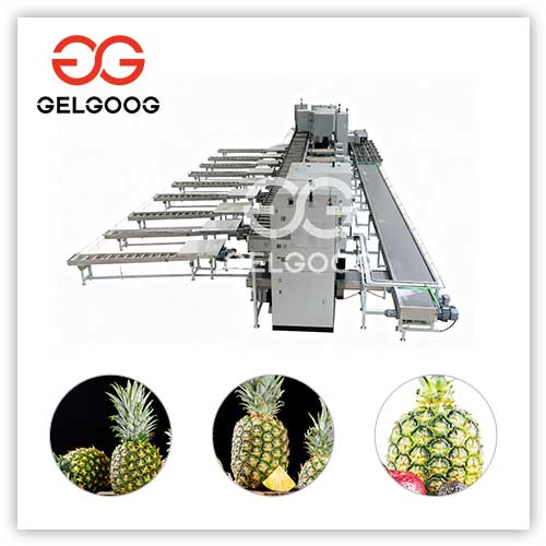 Pineapple-sorting-machine Pineapple-sorting-machine