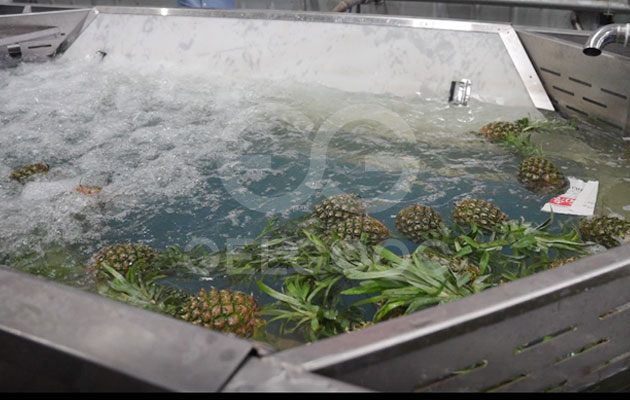 Pineapple-washing-machine
