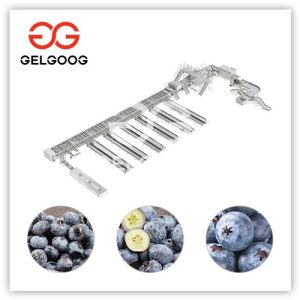 blueberry-grading-machine