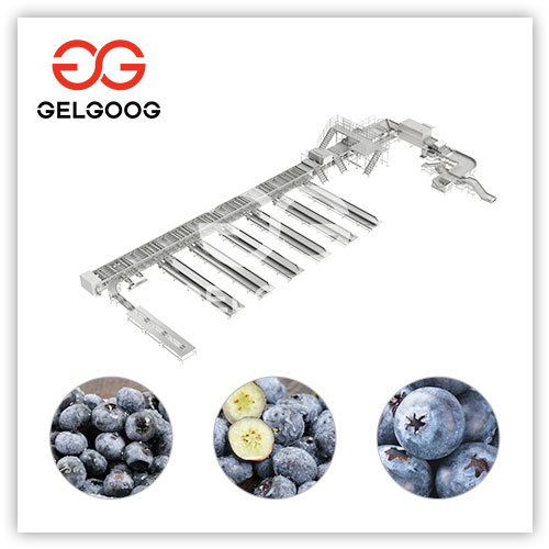 blueberry-grading-machine blueberry-grading-machine