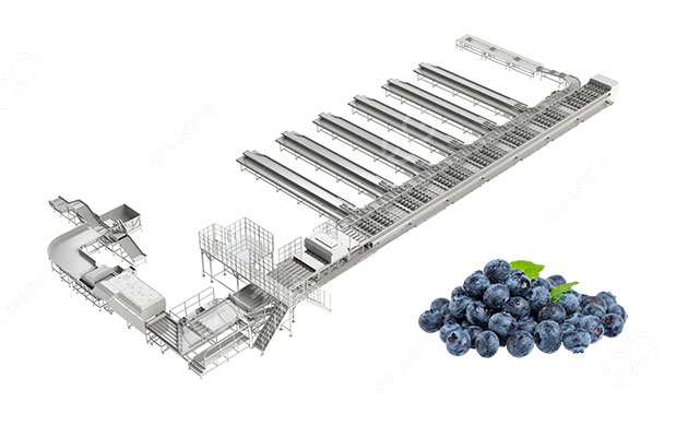blueberry-sorter-machine