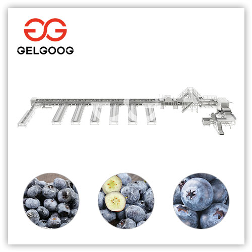 blueberry-sorting-machine-for-sale