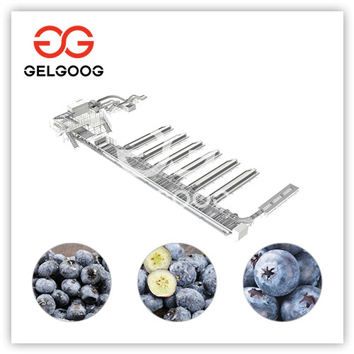 blueberry-sorting-machine blueberry-sorting-machine