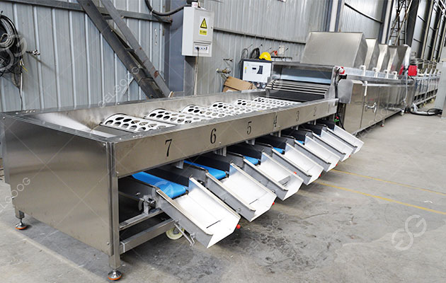 cherry-sorting-line-for-sale