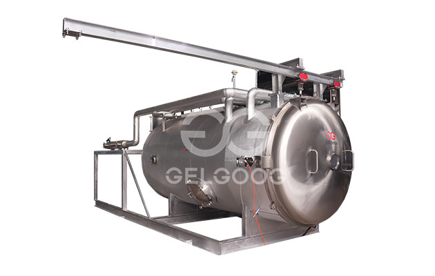 Pineapple-Ring-Freeze-Dryer