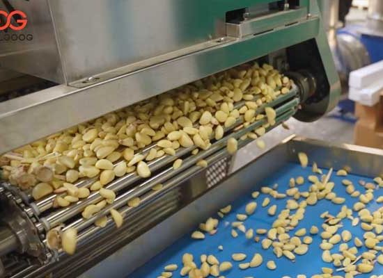 New Peeled Garlic Business Profit