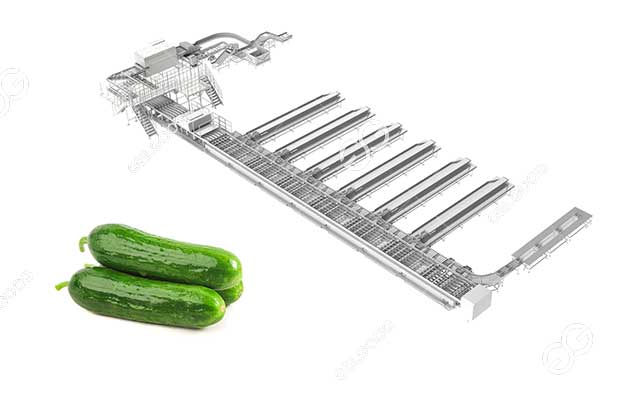 gerkin-washing-sorting-line-for-sale