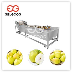 pear-cleaning-machine