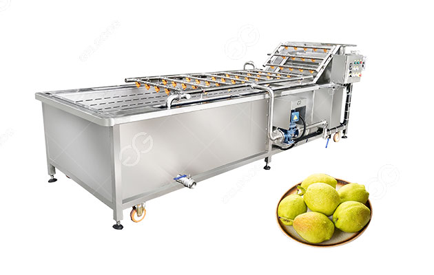 pear-washing-equipment