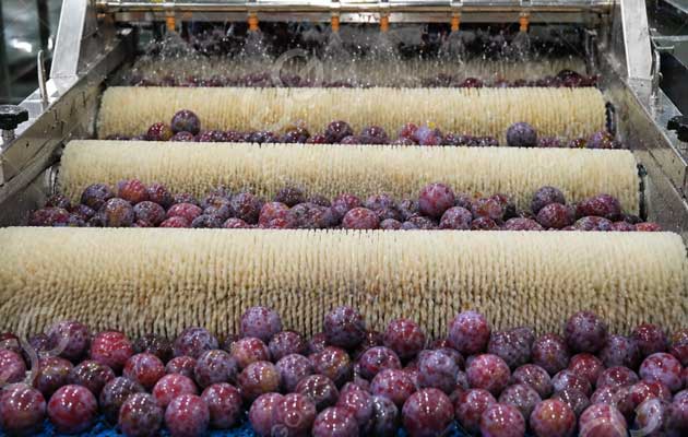 plum-washing-machine