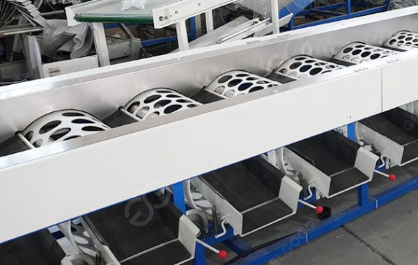 Grapefruit Sorting And Grading Line AI System
