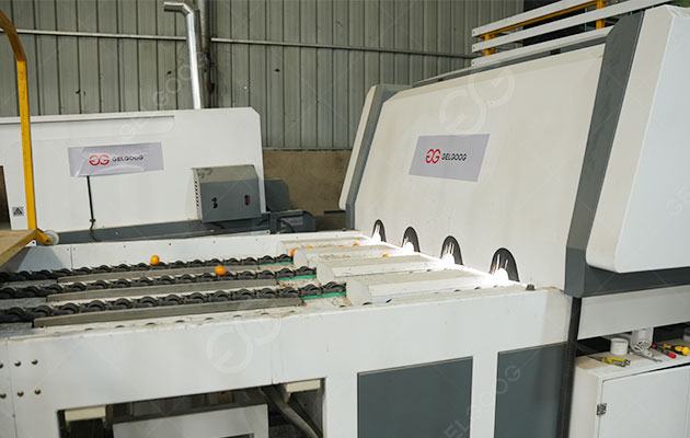 Grape--Fruit-Sorting-Machine