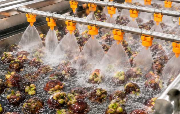 Машина для чистки и сортировки мангостина