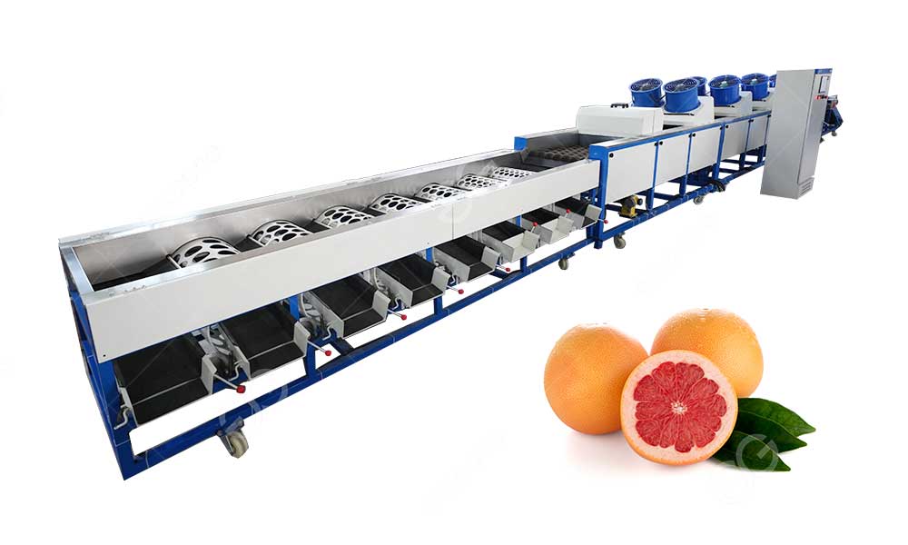 grape-fruit-sorting-line