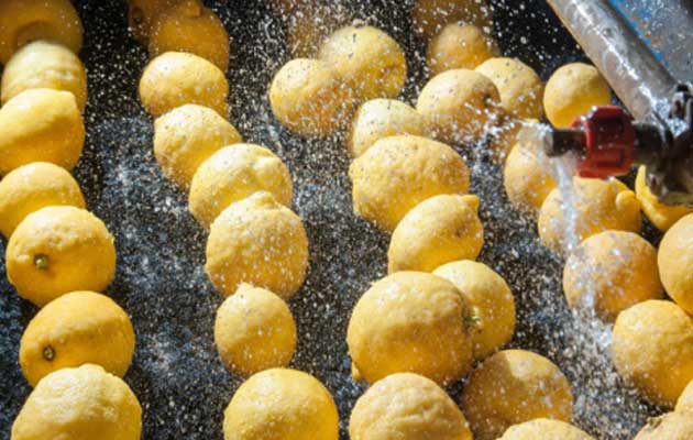 mesin cuci lemon